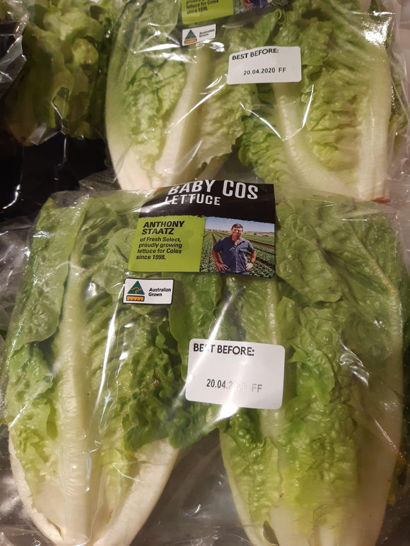 LETTUCE COS TWIN PACK